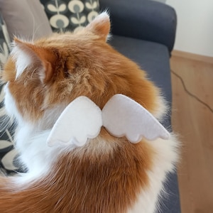 Angel Cat Collar/ Angel Wing Cat Costume-''White+Color Option''-Wedding/ Breakaway Cat Collar/ Birthday/ Kitten, Cat, Small Dog Collar Sizes