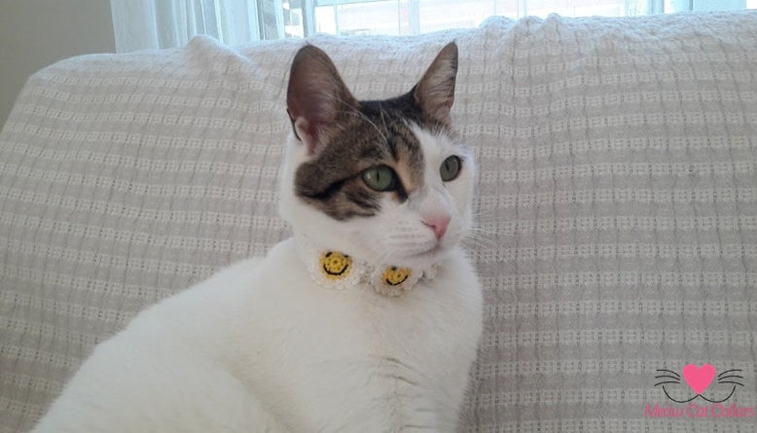 Crochet Daisy Cat Collar/ Cute Breakaway Pet Collar/ Cheerful Etsy