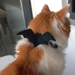 Collar para gatos - "Murciélago, Halloween" - Collar con alas espeluznantes / Negro + Opción de color Collar para gatos / Tamaños de gatitos, gatos y perros pequeños / Disfraz de murciélago para gato