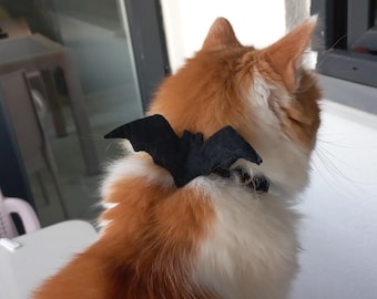 Collare per gatti - ''Pipistrello, Halloween'' - Collare con ali spettrali/ Nero + opzione colore Collare per gatti/ Taglie per gattini, gatti e cani di piccola taglia/ Costume da gatto pipistrello
