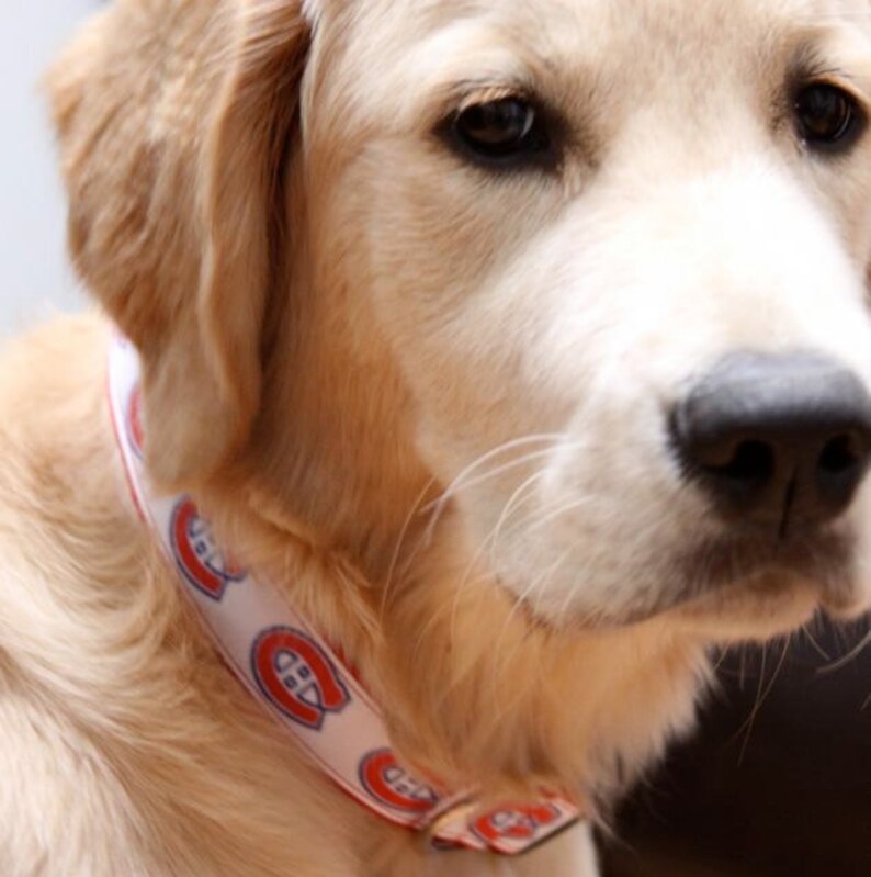 Montreal Canadiens Dog Collar Etsy