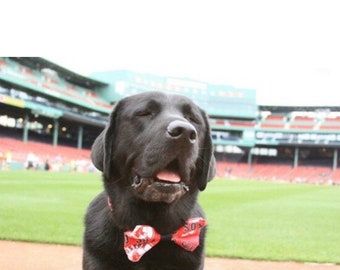 Boston Red Sox Bow Tie for Dog Collar - Red Sox, MLB Baseball, Boston Red Sox