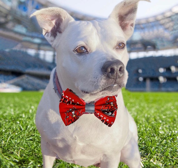 Tampa bay cheap bucs dog jersey