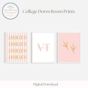 May include: Three framed wall art prints featuring a light pink and white striped design with the gold text HOKIES, a white print with the pink letters VT and Virginia Tech, and a solid light pink print with two gold bird footprints.