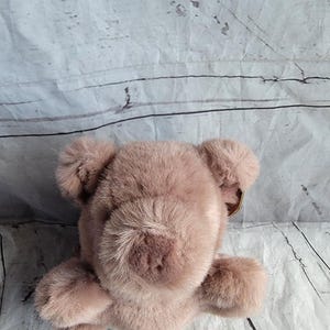 Könnte beinhalten: Ein hellbrauner Teddybär mit weicher, pelziger Textur. Der Bär hat eine ausgeprägte Schnauze, kleine Ohren und einen freundlichen Ausdruck. Das Spielzeug ist zum Kuscheln gedacht und für Kinder geeignet.