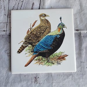 May include: Square white ceramic tile featuring two detailed bird illustrations. One bird has brown and tan feathers, the other has blue and black feathers. The birds are perched on a bed of green moss.