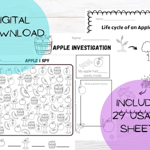 Unidad de Apple pre-k, hoja de trabajo de apple, matemáticas, preescolar de ciencias, kindergrten