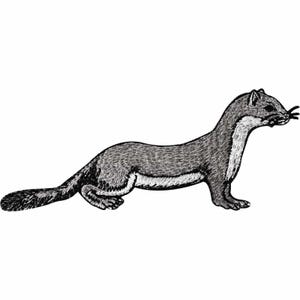 May include: An embroidered patch featuring a side profile of a stoat or weasel. The animal has a long, slender body with dark gray fur on the back and a white underbelly, chest, and throat. It has small ears, dark eyes, and visible whiskers.