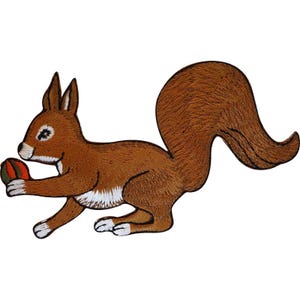 May include: An embroidered iron-on patch featuring a brown squirrel with a large bushy tail, white chest and paw details, and a small orange and green nut held in its front paws. The design has a black stitched border on a white background.