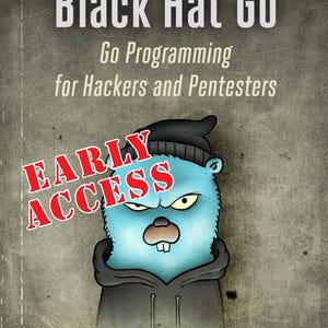 Black Hat Go (2019)