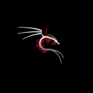 Può includere: Una silhouette stilizzata di drago bianco con ali lunghe e curve e un collo sottile, posizionata su uno sfondo nero solido. Dietro il corpo del drago, una vibrante forma rossa sfumata simile a una nuvola aggiunge un contrasto di colore.