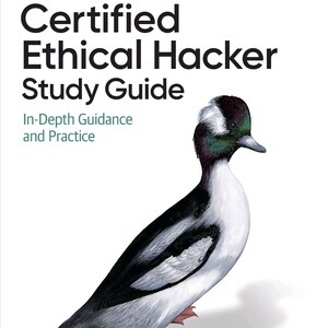 Certified Ethical Hacker: Study Guide (2025)