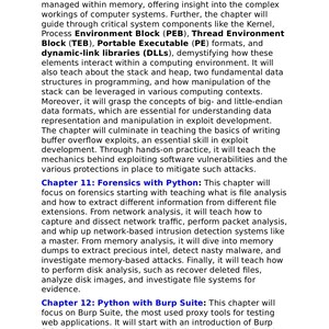 Op de afbeelding: Een pagina met technische tekst over computer-systeemprocessen, inclusief Windows-geheugenbeheer, Kernel, PE-formaten en DLL's. Het behandelt Hoofdstuk 11: Forensics met Python en Hoofdstuk 12: Python met Burp Suite, inclusief datastructuren en beveiliging.