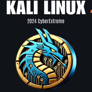 Advanced functions of KALI Linux: Techniques and Tools (2024)