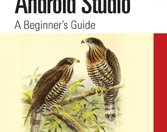 Padroneggiare Android Studio: una guida per principianti (2022)