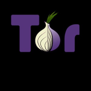 Può includere: Un logo grafico che presenta il testo viola Tor su sfondo nero, dove la lettera o è sostituita da un'illustrazione stilizzata di una cipolla bianca e viola con germogli verdi che emergono dalla parte superiore del bulbo, centrato.