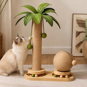 Puede incluir: Un rascador para gatos con forma de palmera, una columna central alta envuelta en sisal, hojas de tela verde y bolas de juguete verdes colgantes. La base es de madera clara con una bola de sisal circular y pequeñas esferas de madera.