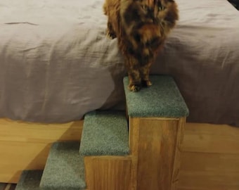 May include: A set of four wooden pet steps with a dark brown stain and blue carpet on each step. A cat is standing on the top step.