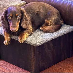 Pet step 16 inch x 16 inch 9 inch tall Pet step Fully Assembled