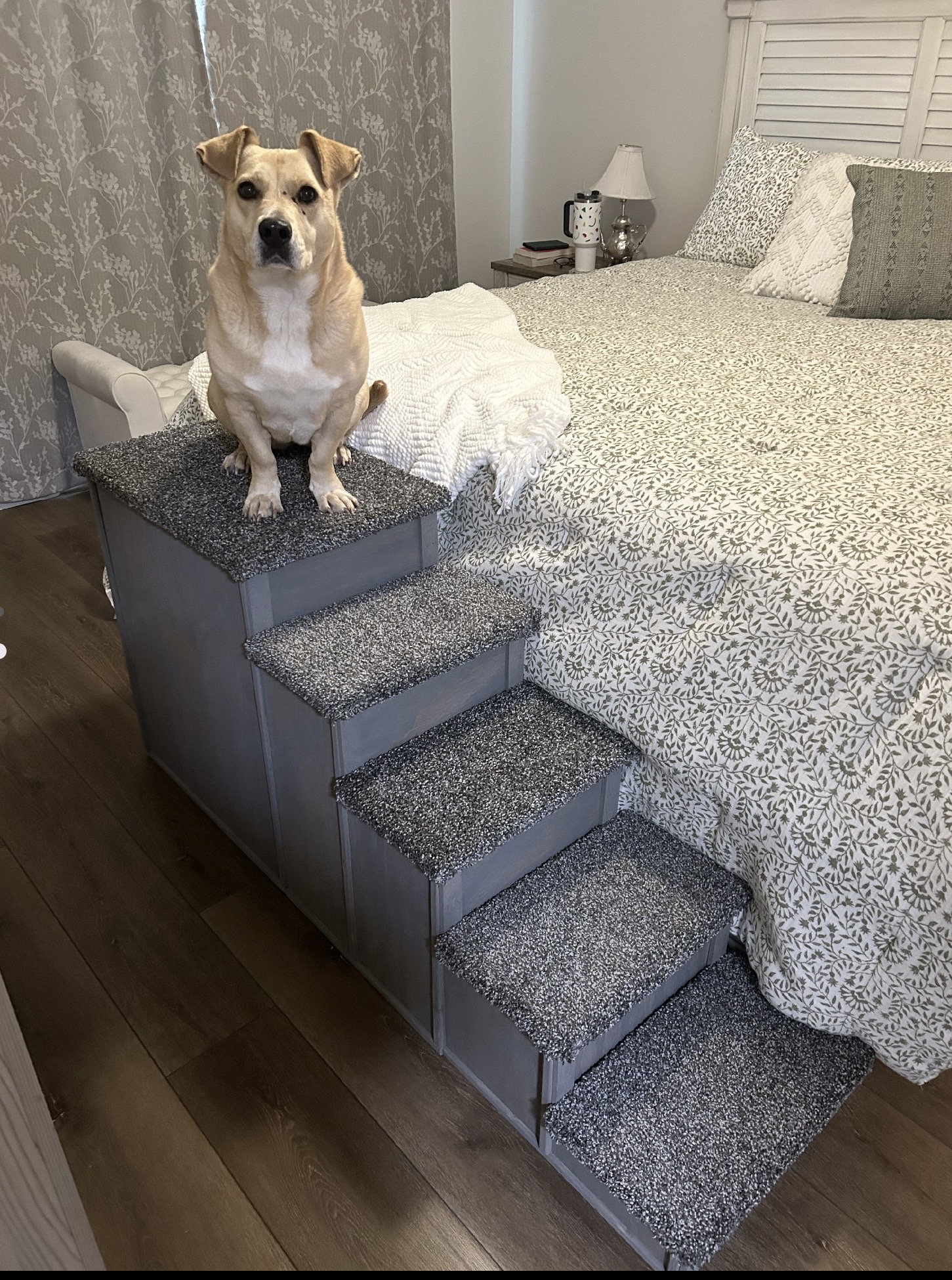 Narrow pet steps 2025