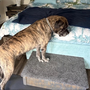 May include: A rectangular pet step with a dark gray carpeted top surface and a light brown wooden base. The step is positioned in front of a bed, and a brindle-patterned dog with a leopard print collar is standing on the carpeted surface.