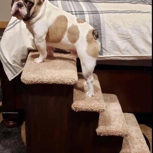 Pet Steps 24&quot; tall x 30&quot;deep  x 16&quot; wide 4 step with large top landing pet step