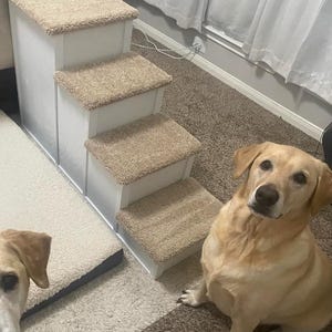 Pet Step 20&quot;tall x 27&quot; deep x 16&quot; wide 4 step Pet Step Fully Assembled