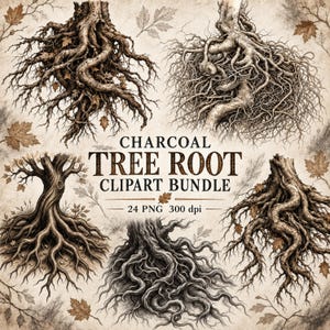 Könnte beinhalten: Eine digitale Sammlung von Baumwurzel-Illustrationen im Kohlestil mit fünf verschiedenen Wurzelsystemen, komplexen Texturen und verstreuten braunen Blättern. Der zentrale Text lautet CHARCOAL TREE ROOT CLIPART BUNDLE 24 PNG 300 dpi.