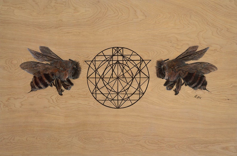 Of Bees and Mathematics 16x20 signed and numbered limited edition giclee fine art print