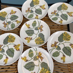 7 Vintage MidCentury Laguna Melmac Ballerina Hazelnut Melamine Tropical Floral Plates
