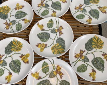7 Vintage MidCentury Laguna Melmac Ballerina Hazelnut Melamine Tropical Floral Plates