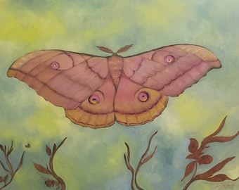 Japanese Silk Moth is an original oil on panel of a delicate and beautiful Moth painted on a smooth art panel in pale pinks and green.