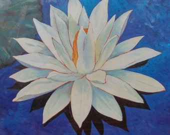 Peace Lily - Beautiful White Waterlily print of an original oil on linen painting from my garden pond