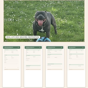 Puede incluir: Un paquete de inicio para paseadores de perros con ocho formularios imprimibles en color y en blanco y negro. El conjunto incluye documentos para información del cliente y del perro, detalles veterinarios, instrucciones y reportes diarios.