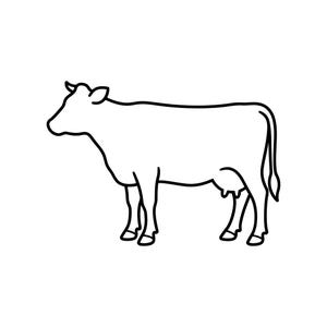 May include: A black and white line art illustration of a cow standing in profile, facing left. The drawing features a simple outline of the animal's body, including its head, ears, four legs, tail, and udder, rendered with clean, bold black lines.