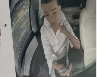 Fun Magnetic Mini Head Tesla Figurine | Car Interior No NAG Ornament | FSD Nag
