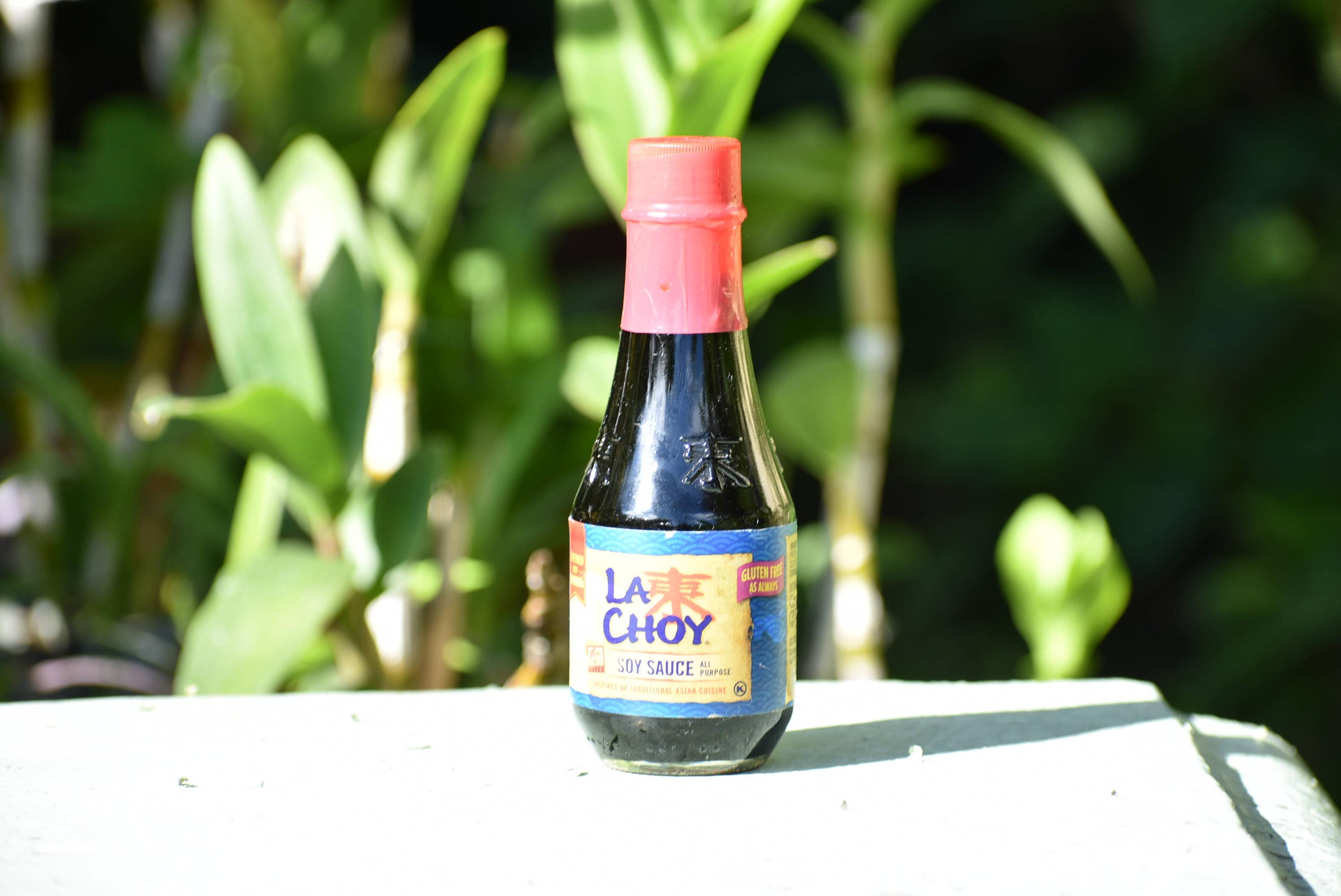 la choy bead molasses