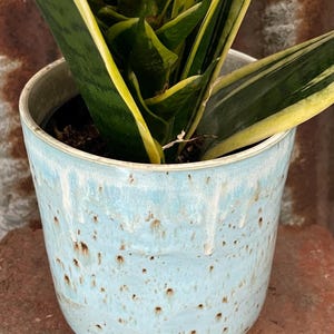 Pottery Planter