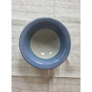 May include: A round ceramic bowl featuring a wide, light blue rim and a white interior base. The interior of the bowl is decorated with two thin, concentric teal green circular lines that frame the center of the basin, creating a simple design.