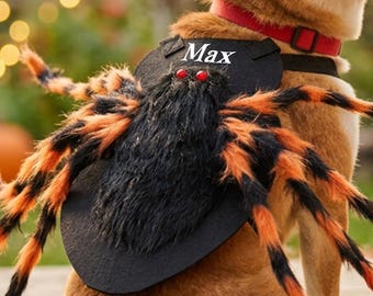 Personalisiertes Halloween-Spinnenkostüm für Katzen und Hunde, Spinnenkostüm für Haustiere, Geschenk mit Hundenamen, Geschenk für Hundeliebhaber, gruseliges Cosplay-Outfit
