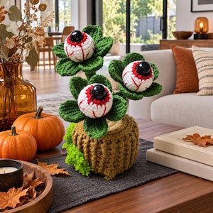 Cute Knitted Plant Pot, Hand Crochet t Eyeball Flower Potted Plant, Desk Home Decor, Unique Handmade Gift for Plant Lovers,Halloween gifts