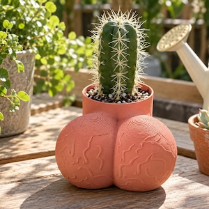 May include: A cylindrical terracotta-colored planter with a textured, anatomical shape at the base, featuring two rounded protrusions with concentric circular patterns and irregular vein-like lines, containing a green columnar cactus with sharp spines.