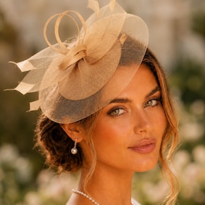 Puede incluir: Un tocado beige con una base circular de malla fina, adornado con bucles estructurados y delicados detalles similares a plumas. El accesorio está confeccionado con un tejido transparente y ligero en un tono bronceado neutro.
