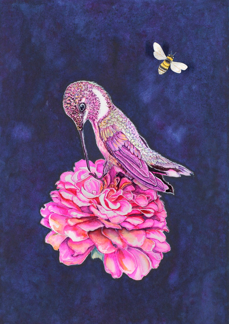 Hummingbird /& Flower Watercolor Print Flower Art Print Hummingbird Art Floral Print Bird Print Hummingbird Watercolor Art Print Pink Dahlia