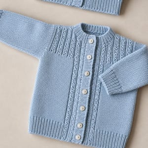 Könnte beinhalten: Eine hellblaue, langärmelige Strickjacke mit geripptem Rundhalsausschnitt, Bündchen und Saum. Das Kleidungsstück verfügt über ein vertikales Strukturmuster entlang der Knopfleiste und Schultern, verschlossen durch sieben kleine, runde, weiße Knöpfe.