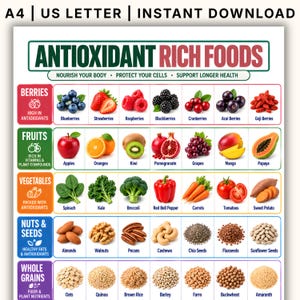 Könnte beinhalten: Eine digitale Übersicht mit dem Titel ANTIOXIDANT RICH FOODS und dem Text A4 | US LETTER | INSTANT DOWNLOAD. Das Raster zeigt kategorisierte Abbildungen von Beeren, Obst, Gemüse, Nüssen, Samen und Vollkorn mit Beschriftungen.