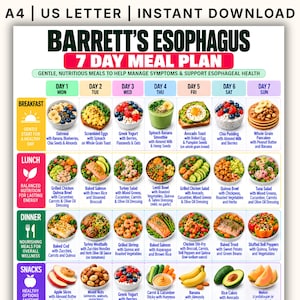 Könnte beinhalten: Ein digitaler Ernährungsplan mit dem Titel Barrett's Esophagus 7 Day Meal Plan, der ein Raster mit täglichen Frühstücks-, Mittags-, Abendessen- und Snackoptionen sowie Lebensmittelillustrationen und Textbeschreibungen enthält.