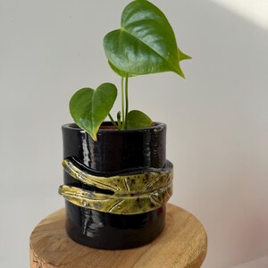 Peut inclure: Un pot de fleurs cylindrique en céramique noire brillante orné d'une bande texturée en forme de feuille vert olive enroulée autour du centre. Une petite plante verte aux feuilles en forme de cœur pousse au sommet du récipient lisse.