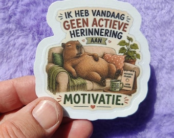 Capibara, Geen Actieve Herinnering, Grappige Capibara, Vergeetachtig Humor, Herkenbare Humor, Grappig Cadeau