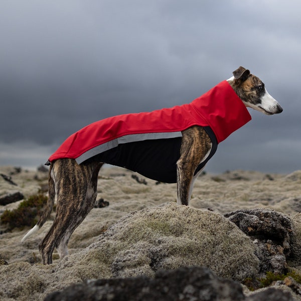 Whippet Softshell Jacket - Jumper for Greyhound, Saluki, Podenco, Lurcher, Italian Greyhound - With zippers - Red - 8 sizes available